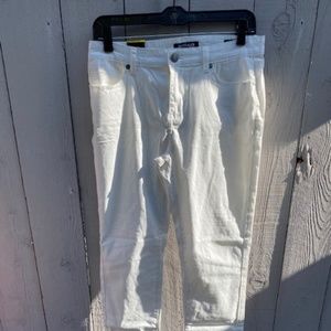 Buffalo David Bitton